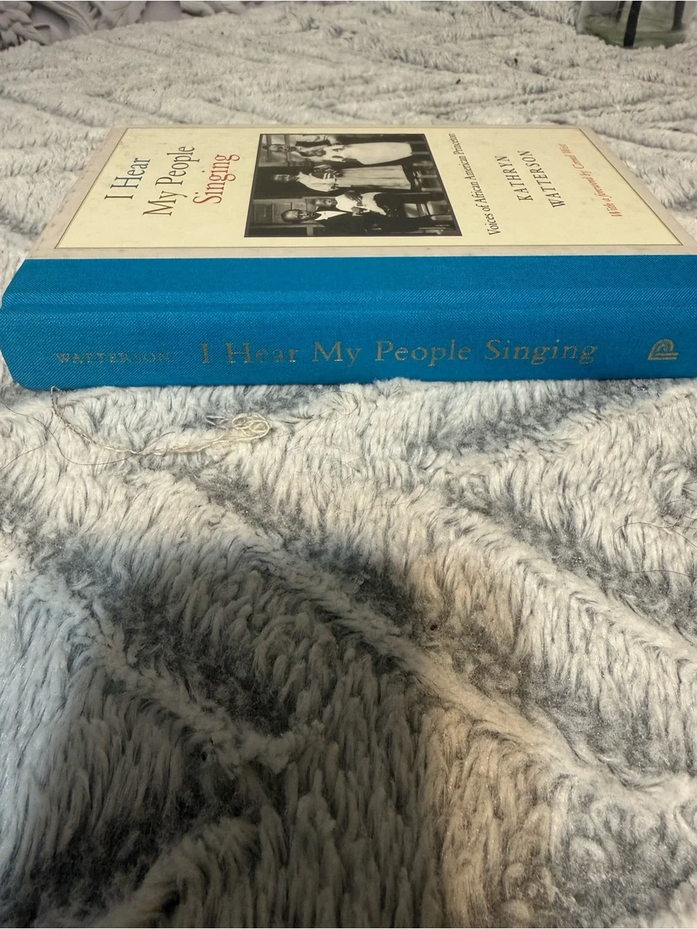 Chronicle Books I Hear My People Singing - Blue and White Cover